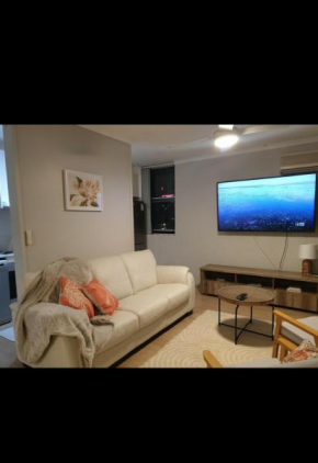 Spacious Apartment Oasis, City Of Bankstown